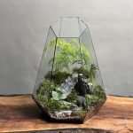 تراریوم مارچوبه طرح بلک استون