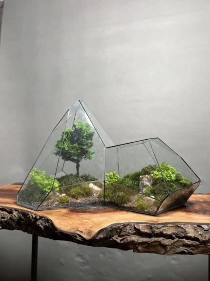 تراریوم لاکچری بنسای نانا طرح کوه سبز