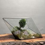 تراریوم بنسای‌ ژاپونیکا‌ طرح الماس سبز ژاپن