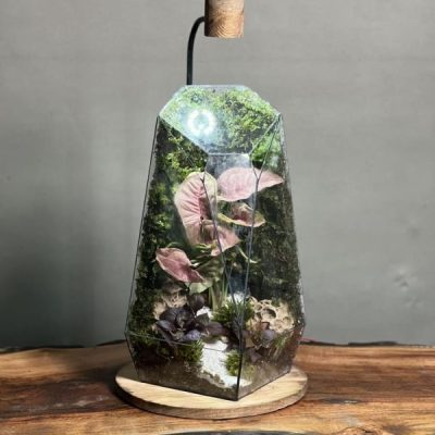موساریوم چراغدار طرح پینک فاکس (تراریوم)