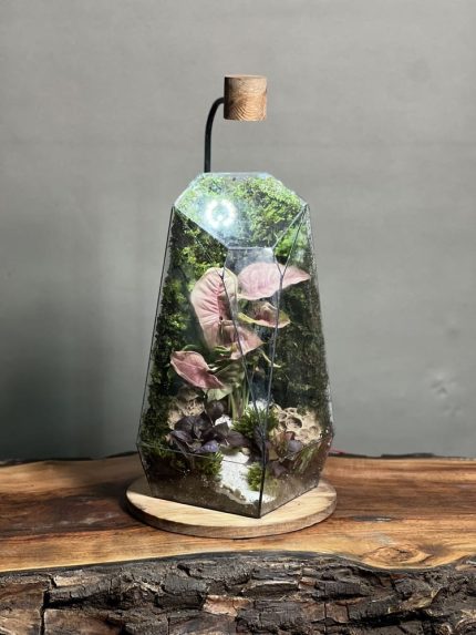 موساریوم چراغدار طرح پینک فاکس (تراریوم)