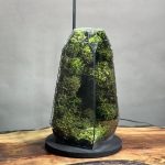چراغخواب موساریوم طرح طبیعت بکر (تراریوم)