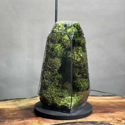 چراغخواب موساریوم طرح طبیعت بکر (تراریوم)
