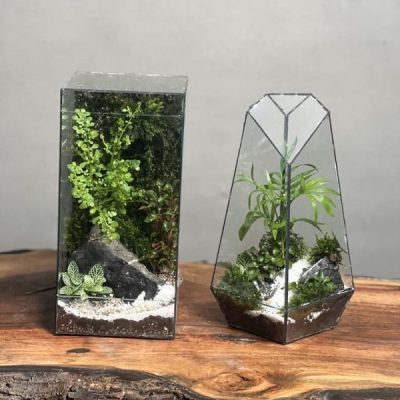 ۲ عدد تراریوم + موساریوم طرح مینی گرین