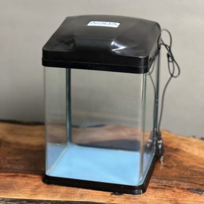شیشه تراریوم چراغدار طرح آکوا