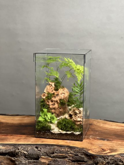 تراریوم گرتی طرح مکعب