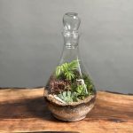 تراریوم طرح فرانسه بزرگ