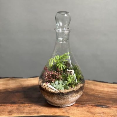 تراریوم طرح فرانسه بزرگ