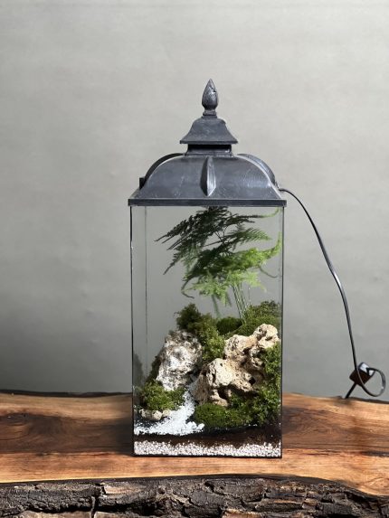 تراریوم چراغدار طرح ادیسون