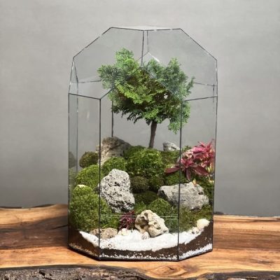 تراریوم بنسای نانا طرح بیگ گنبد