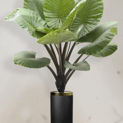 باباآدم تنه قرمز + گلدان فایبر گلاس استوانه ای (*)