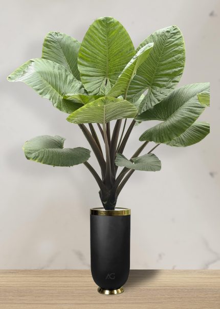 باباآدم تنه قرمز + گلدان فایبر گلاس استوانه ای (*)