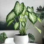خرید گل و گلدان هدیه برای همسر ?