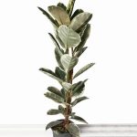 خرید گل و گلدان هدیه برای تبریک روز دانش آموز