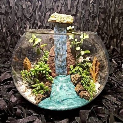 گل خانگی شیک