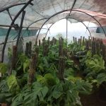 خرید گل و گلدان هدیه برای تبریک روز مهندس