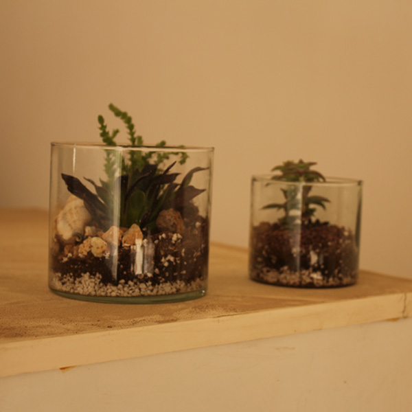 تراریوم استوانه ای