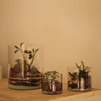 تراریوم استوانه ای
