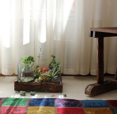 تراریوم خونه ماهی
