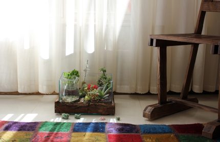 تراریوم خونه ماهی