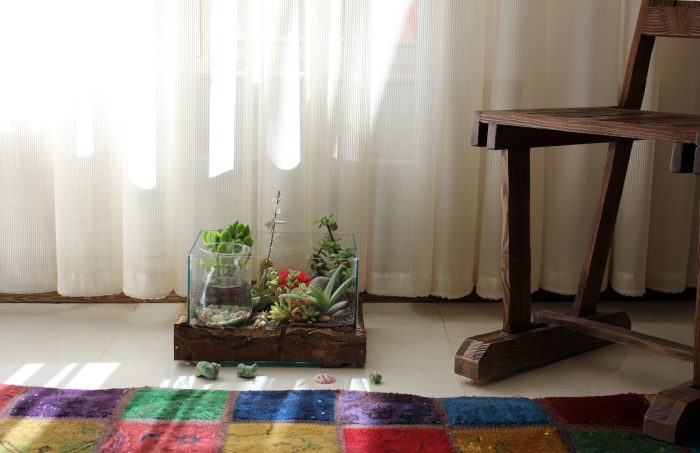 تراریوم خونه ماهی