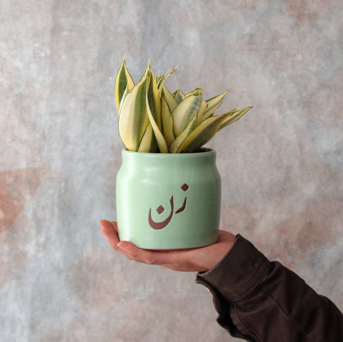 سانسوریا با گلدان سرامیکی زن