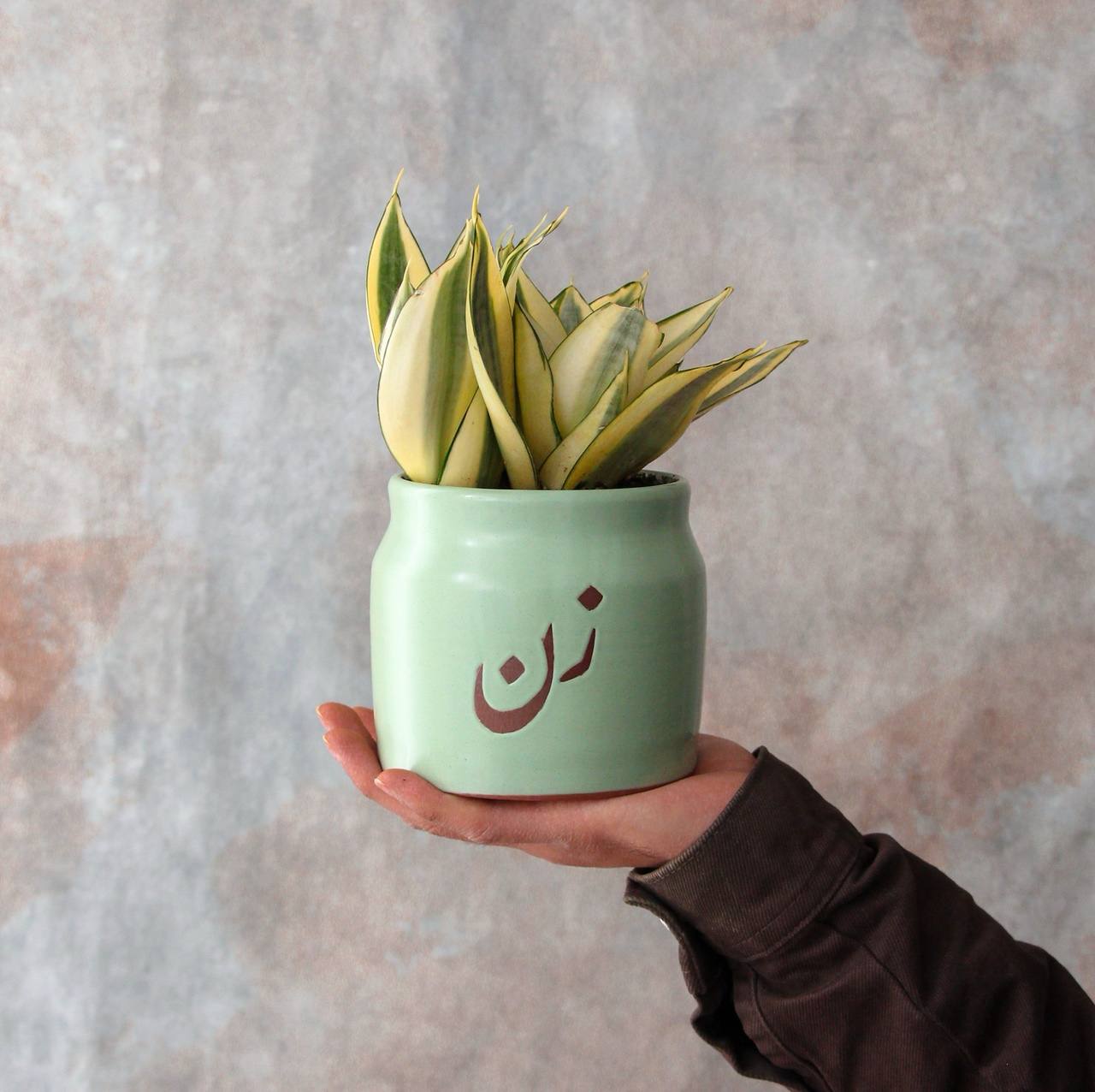 سانسوریا با گلدان سرامیکی زن