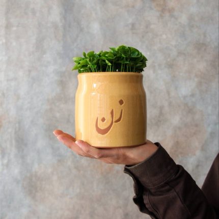 سبزه بهار نارنج با گلدان سرامیکی زن