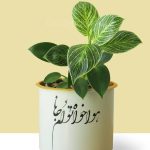 فیلودندرون بیرکین با گلدان فلزی *هواخواه توام جانا*