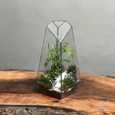تراریوم‌ شامادورا طرح طبیعت 20 Cm