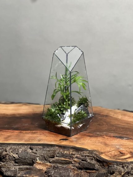 تراریوم‌ شامادورا طرح طبیعت 20 Cm
