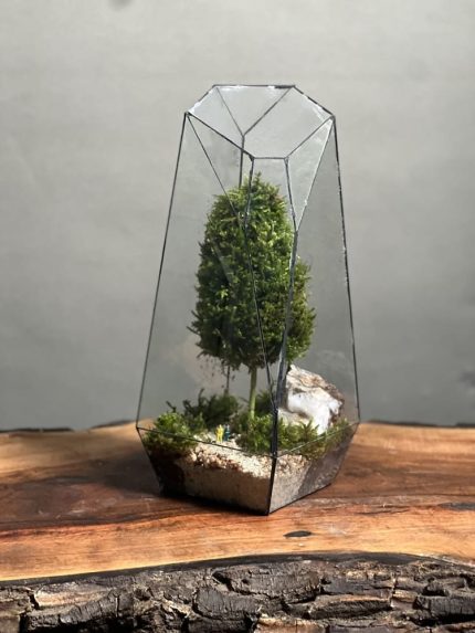 وابی کوزا طرح فاکس 35 Cm(تراریوم)