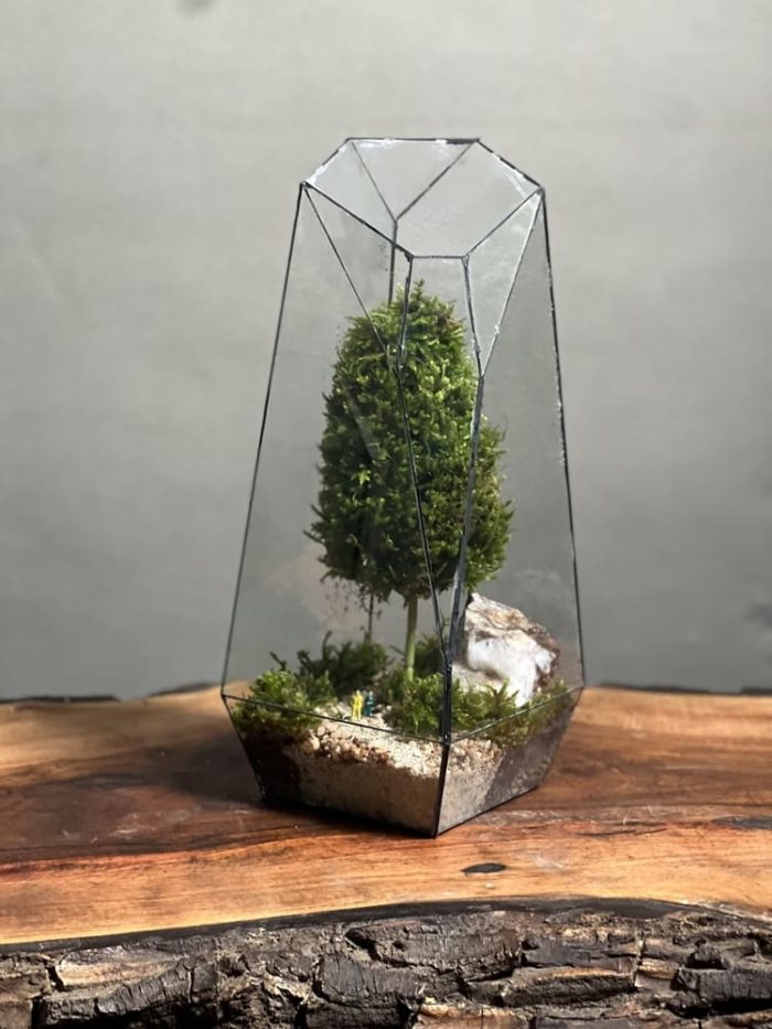 وابی کوزا طرح فاکس 35 Cm(تراریوم)