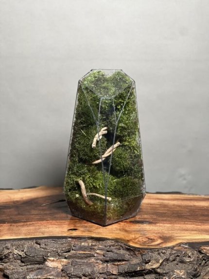 موساریوم طرح طبیعت آبنوس فاکس 35 Cm