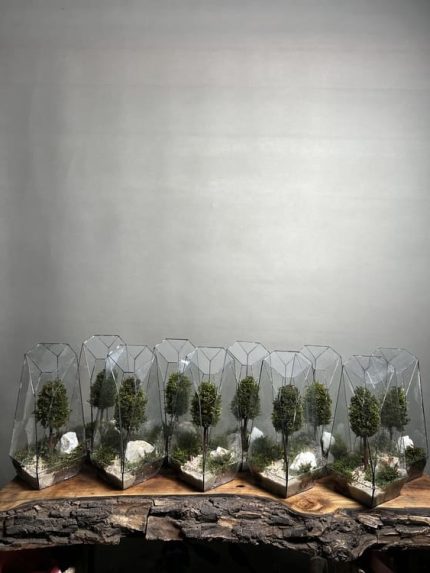 گیفت شرکتی ۱۰ عدد وابی کوزا طرح فاکس 35 Cm