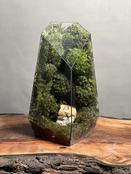 موساریوم طرح طبیعت راک لاو 40 Cm (تراریوم)