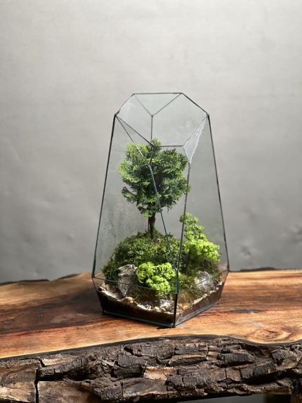 تراریوم بنسای نانا طرح فاکس 40 Cm