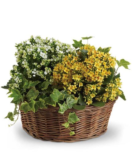خرید گل و گلدان هدیه برای زن