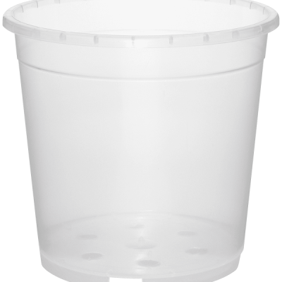 Clear Orchid Pot