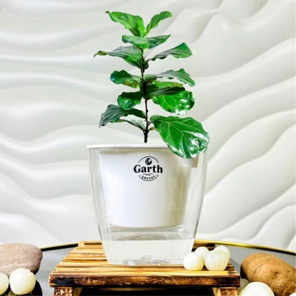 خرید گل و گلدان هدیه برای روز زن برای همسر