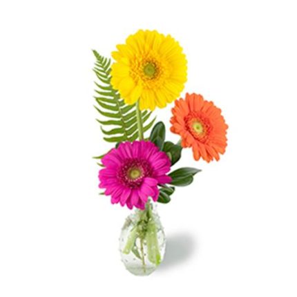 Just For You