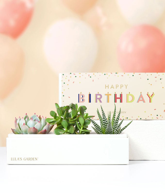 Lula's Garden ® Birthday Jewel Succulent Box