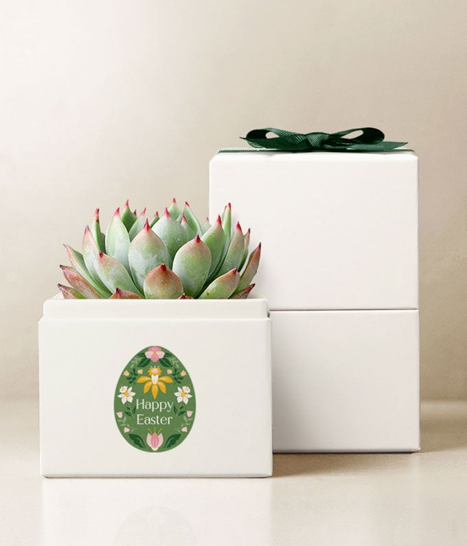 Lula's Garden ® Easter Bliss Garden
