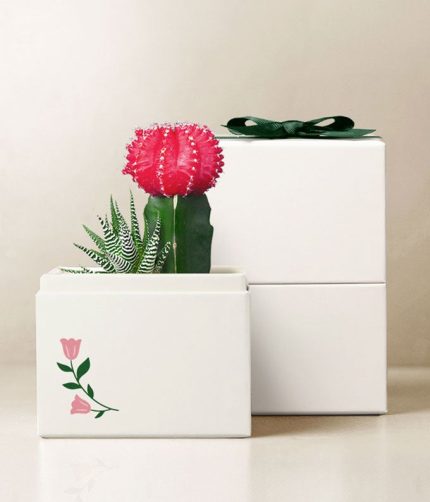 Lula's Garden ® Easter Rosé Garden