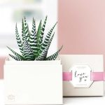 Lula's Garden ® I Love You Zebra Succulent Gift