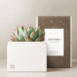 Lula's Garden ® Sagittarius Bliss Succulent Garden