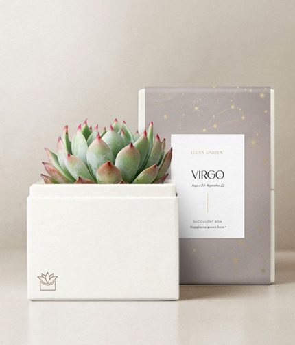 Lula's Garden ® Virgo Bliss Succulent Garden