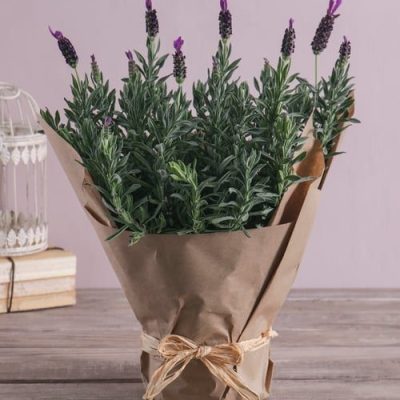 خرید گل و گلدان هدیه برای یادبود ??