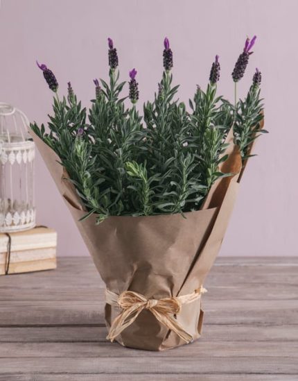خرید گل و گلدان هدیه برای یادبود 🌺🎁