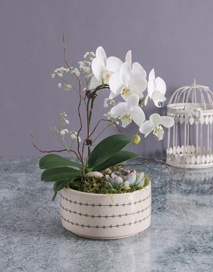 خرید گل و گلدان هدیه برای مدیر مدرسه 🌸🎁